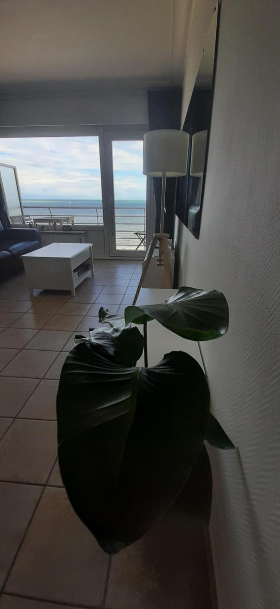 Lo & L'Oo Apartment Oostende Ngoại thất bức ảnh