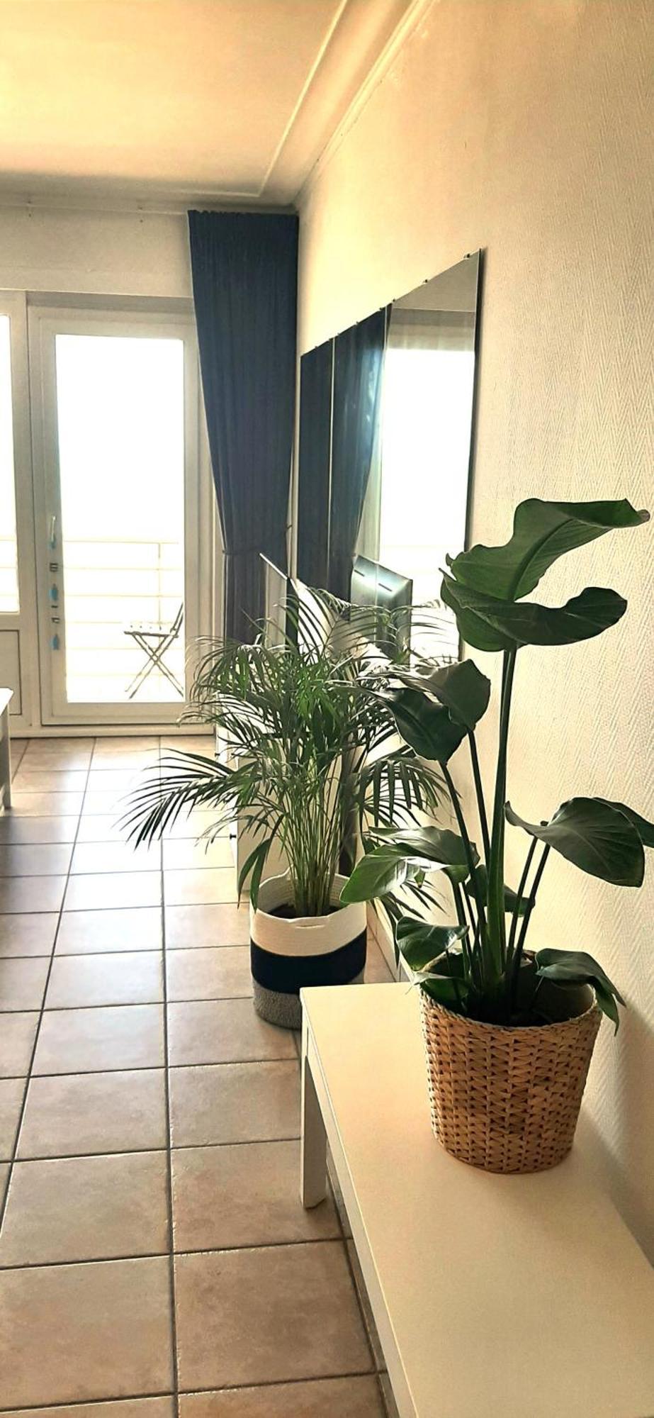 Lo & L'Oo Apartment Oostende Ngoại thất bức ảnh